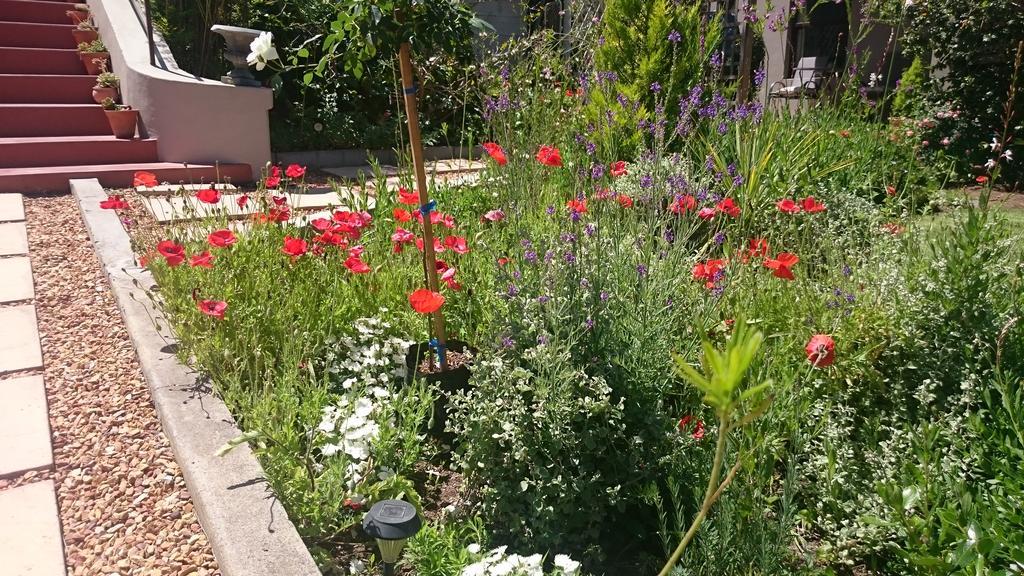 Abigail'S Garden Cottage 몬터규 외부 사진